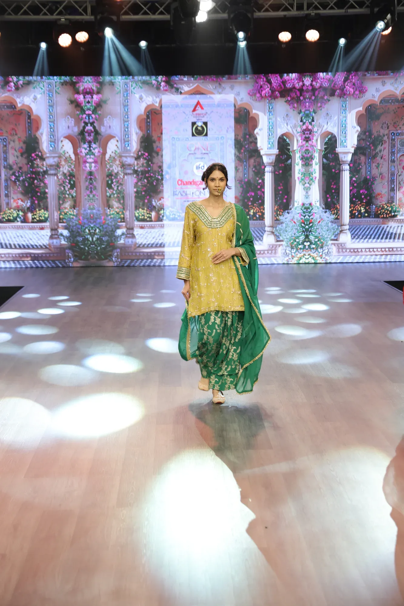 Rang-e-Basant — view 5