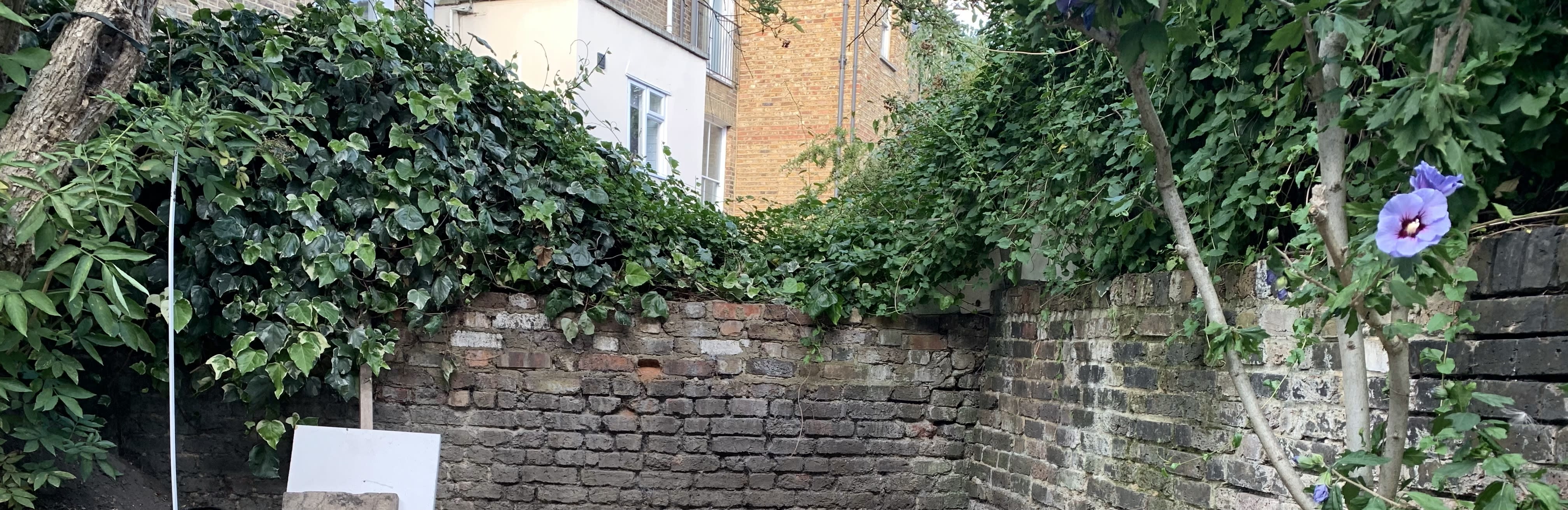 Wow so much ivy!!