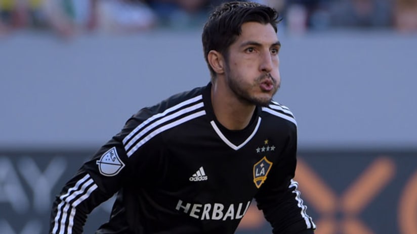 Jaime Penedo, LA Galaxy 2015