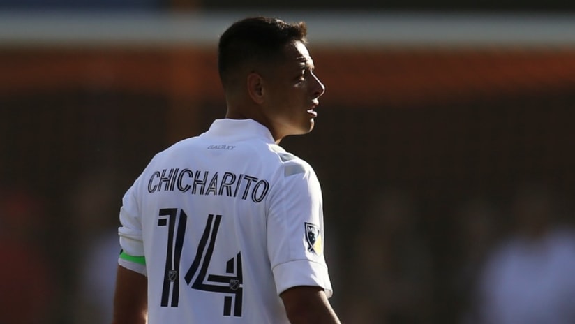 Chicharito - shadow - artsy photo