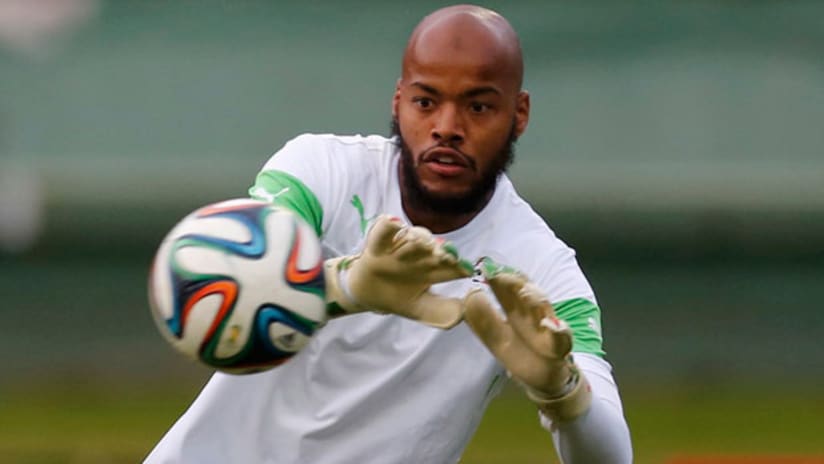 Rais Mbolhi, Algeria