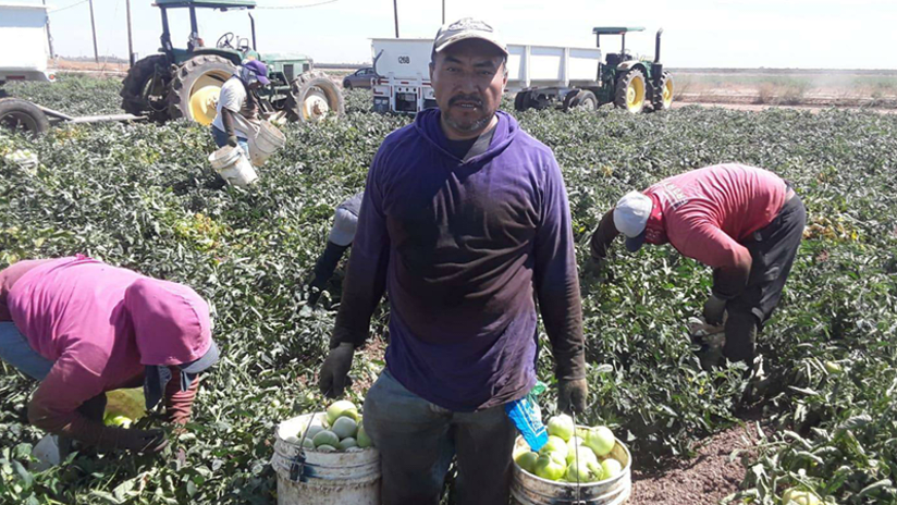 Farmworkers - Julian Araujo feature - November 2020