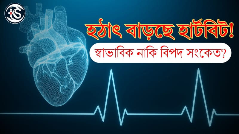 হঠাৎ বাড়ছে হার্টবিট! স্বাভাবিক নাকি বিপদ সংকেত?