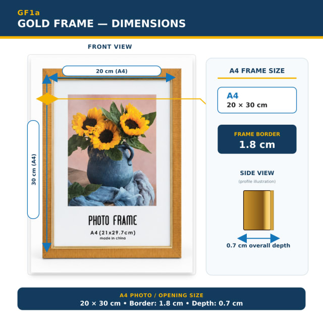 Gold Frame dimensions