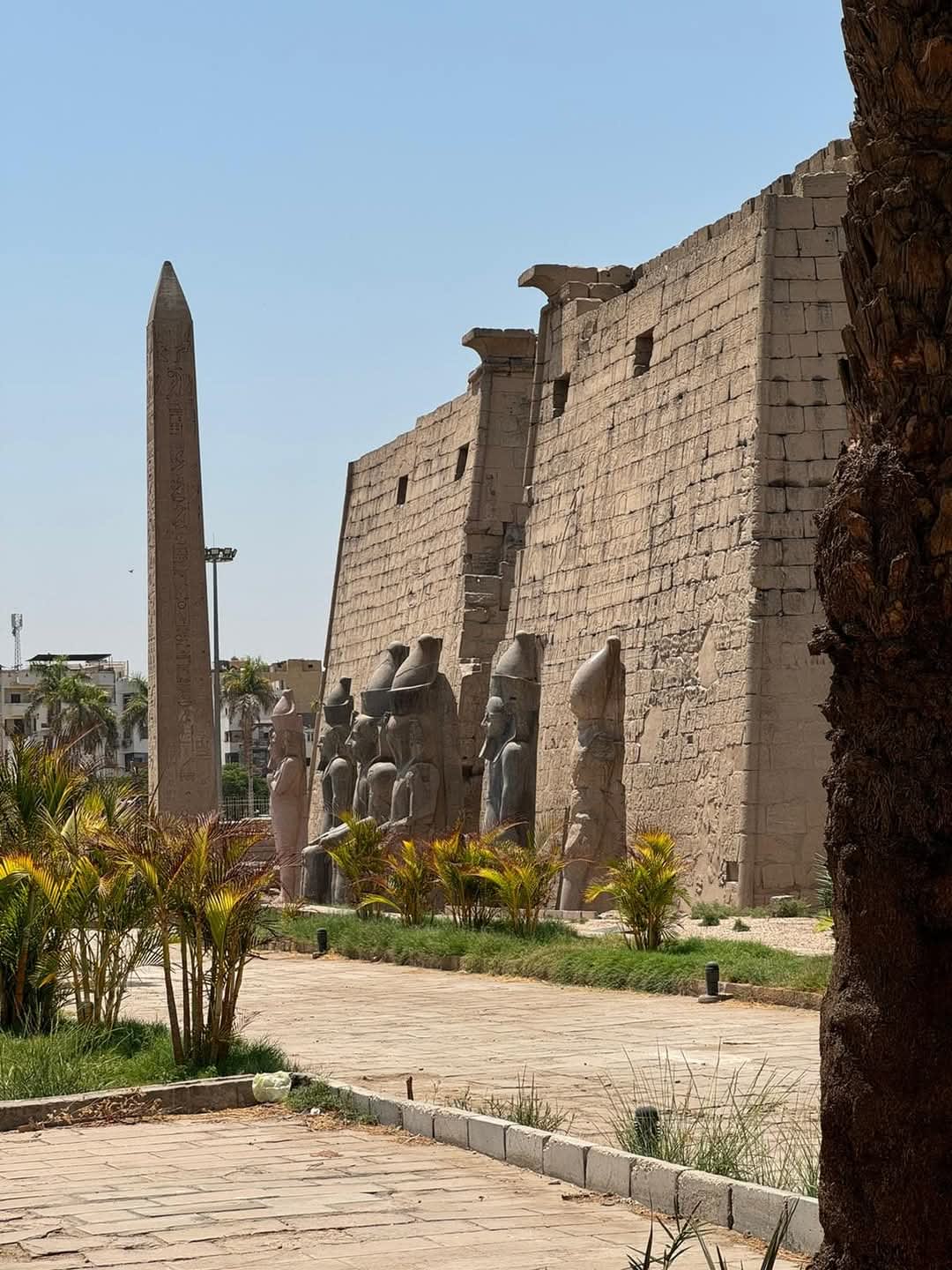 Luxor — Gruppenfahrt im Van 2