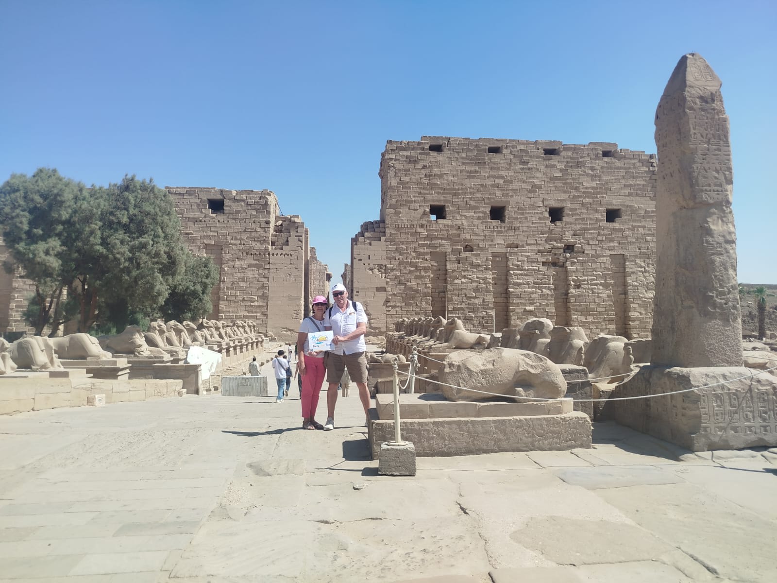 Luxor — Gruppenfahrt im Van 14