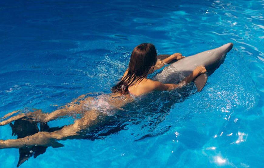 Schwimmen mit Delfinen 3