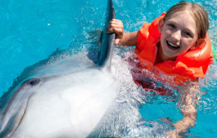 Schwimmen mit Delfinen 5