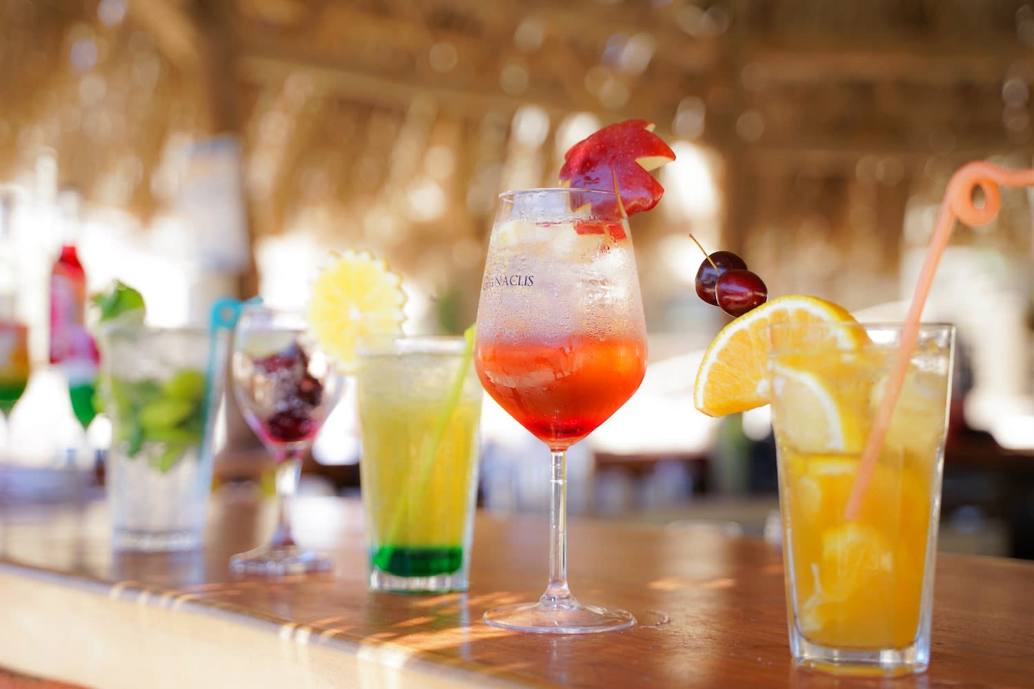 Paradise Island Tagesausflug 9
