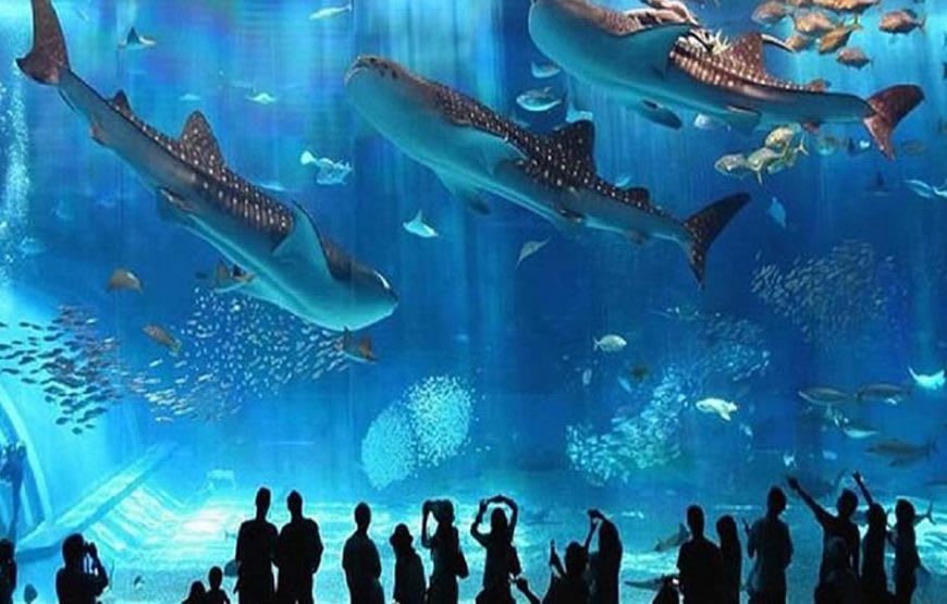 Grand Aquarium 2
