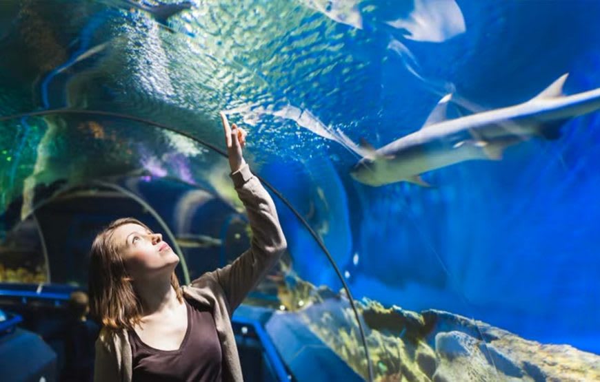 Grand Aquarium 3