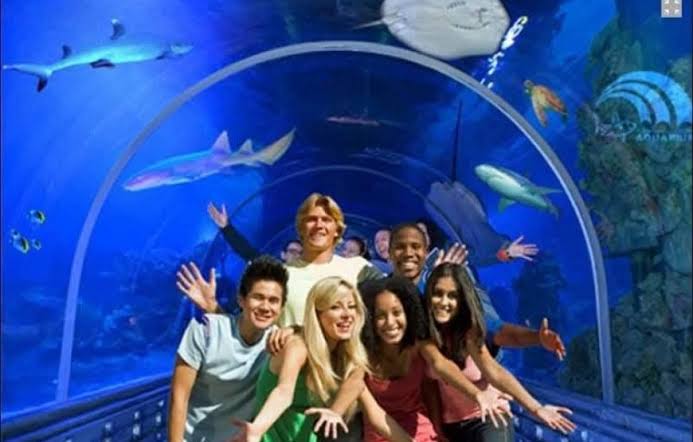 Grand Aquarium 6
