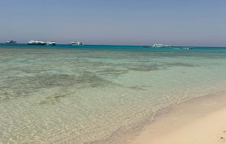 Eden Insel 6