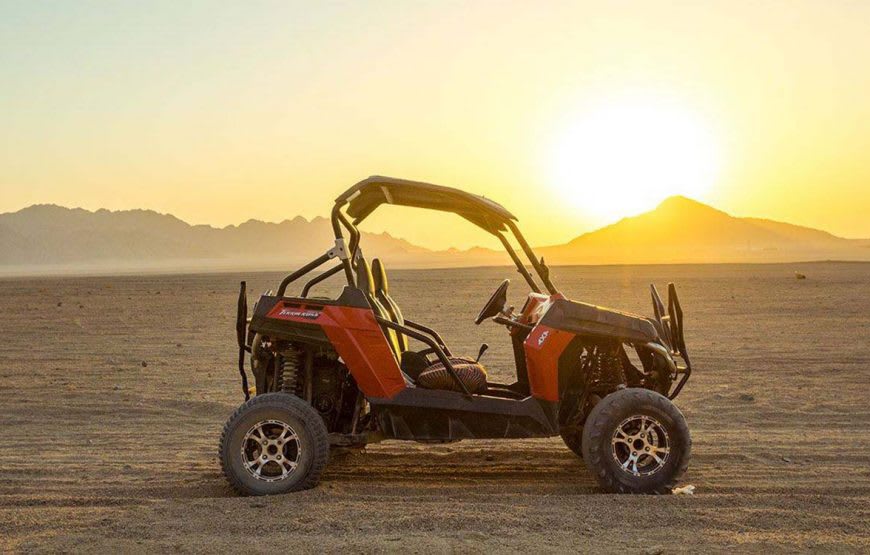 Buggy Safari 2