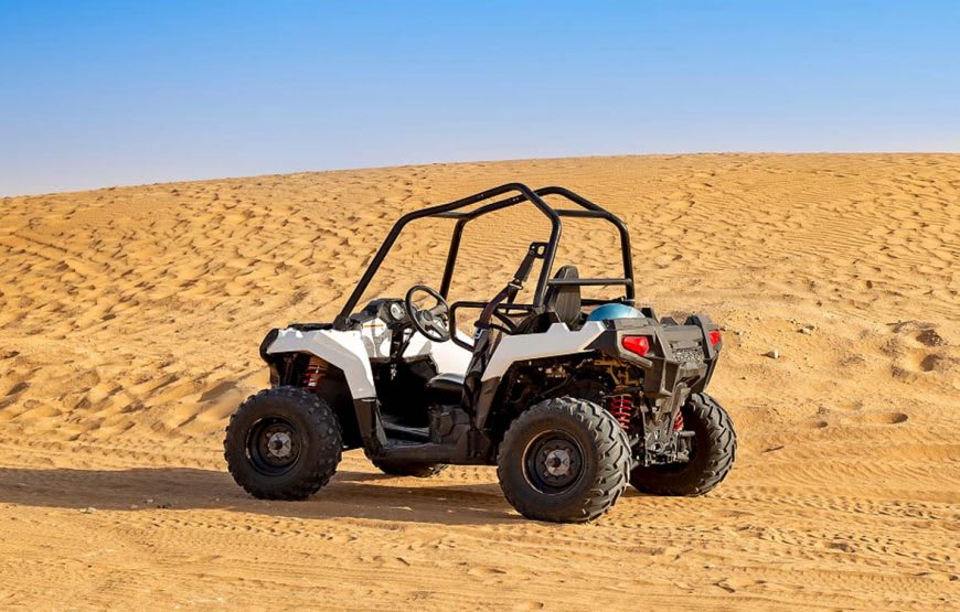 Buggy Safari 3