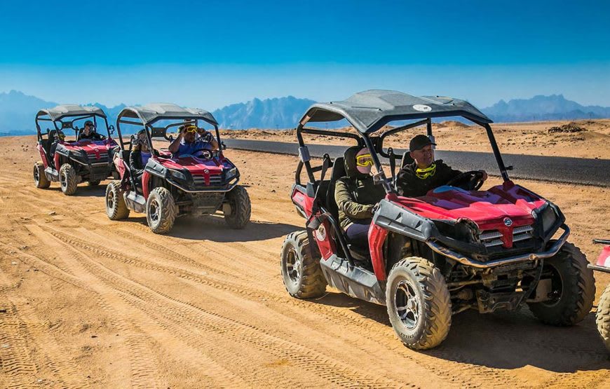 Buggy Safari 4
