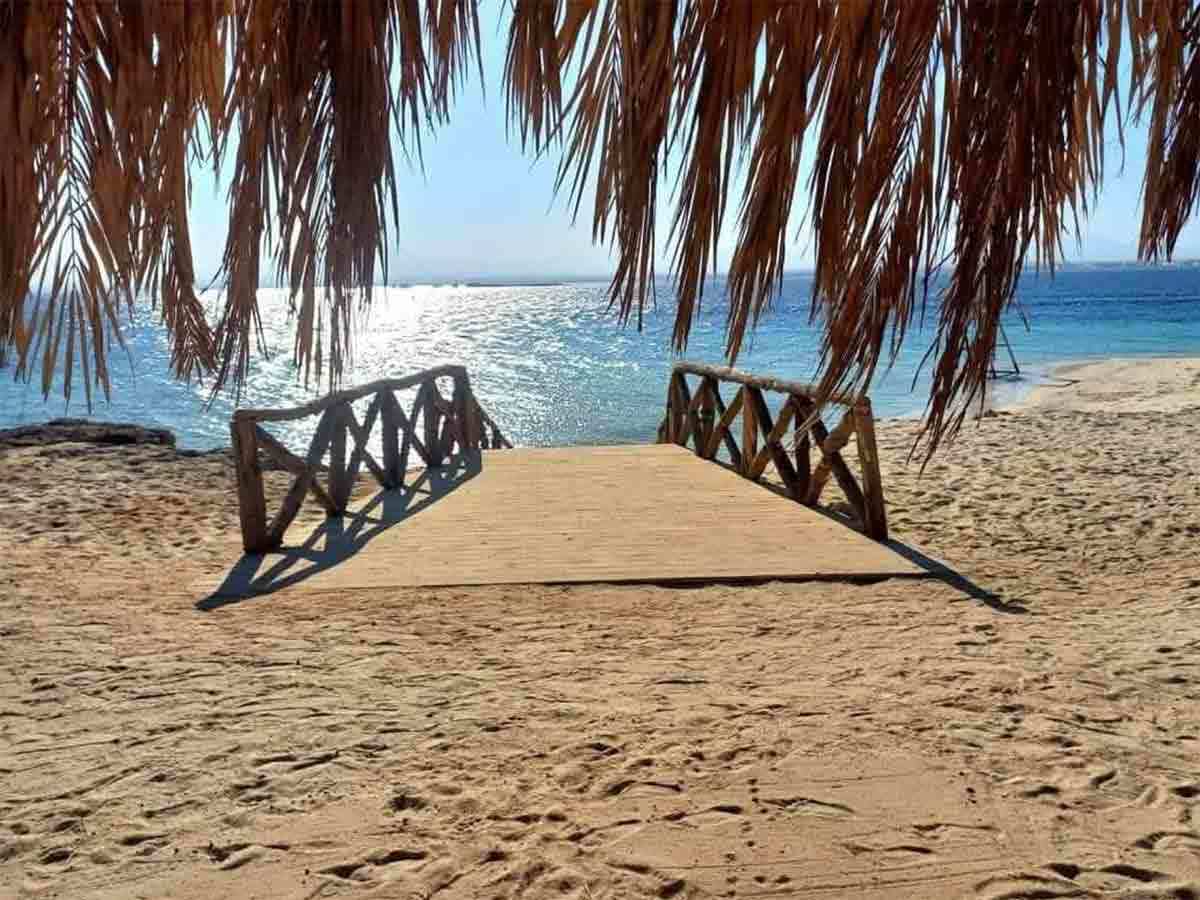 White Island/ Magawish 4
