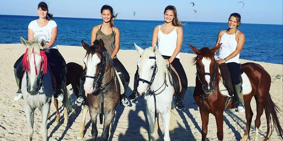 Reiten 7