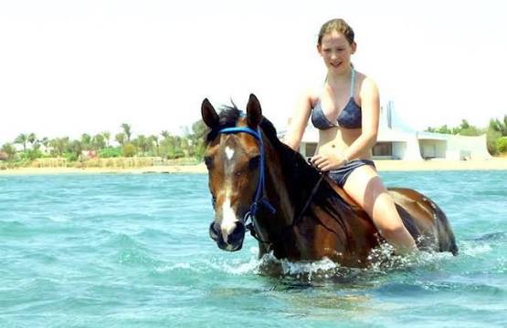 Reiten 9