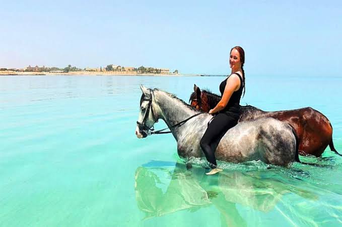 Reiten 11