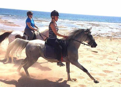 Reiten 12