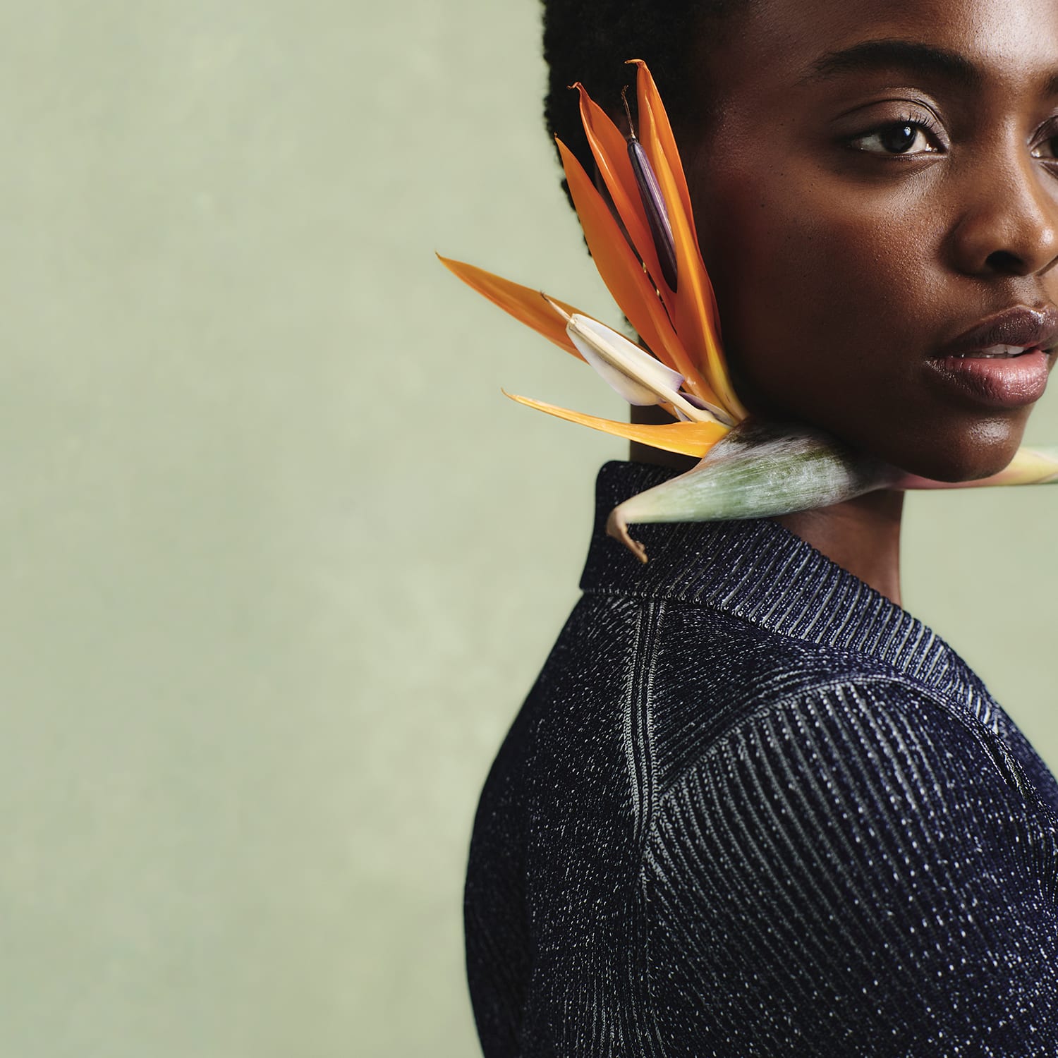 image of a woman holding a flower wearing the merritt jardigan in navy/ivory