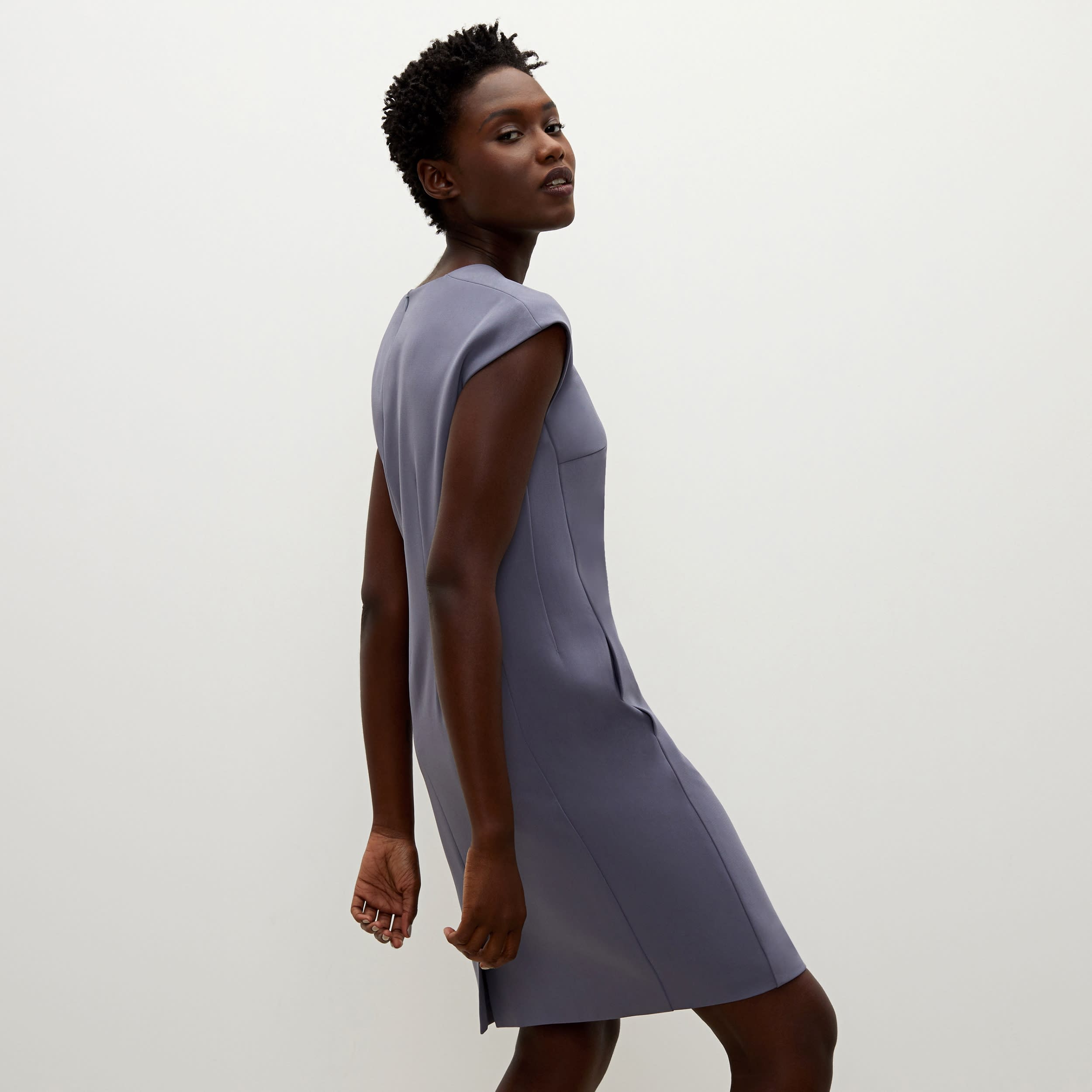 The Maaza Dress - Dusky Iris | M.M.LaFleur