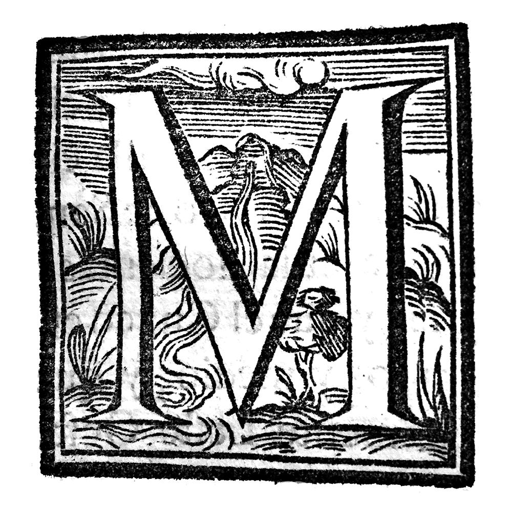 m