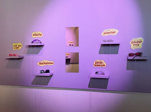 Image du projet Biscoto l'expo !