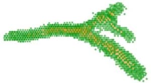 Modeling mammary organogenesis from biological first principles: Cells and their physical constraints