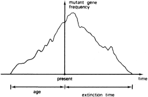 Repetition and Reversibility in Evolution: Theoretical Population Genetics