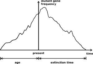 Répétition et réversibilité dans l’évolution : La génétique des populations théorique