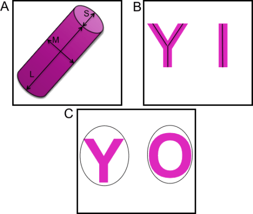 Visual representation of parameters.