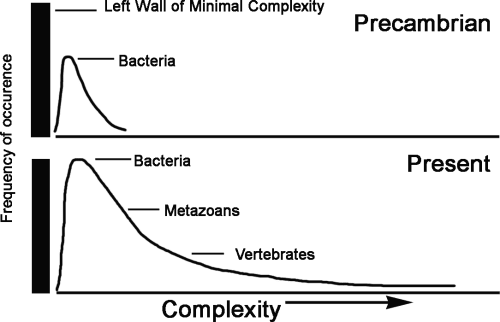 S.J. Gould proposed a wall of minimal
    complexity to the left of which life is not possible.