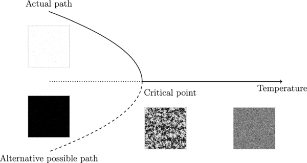 Simulation of a phase transition in the Ising model.