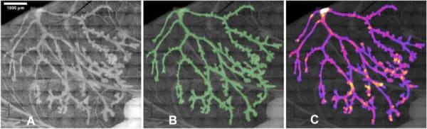 Fig. 3