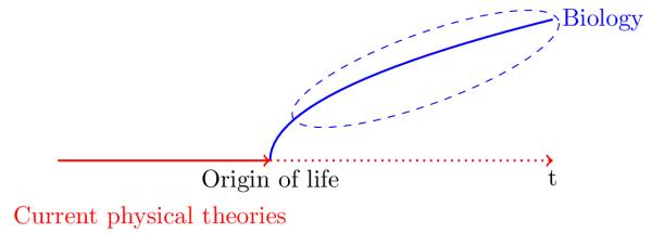  scheme of the relation between physics 
and biology, from a diachronic point of view