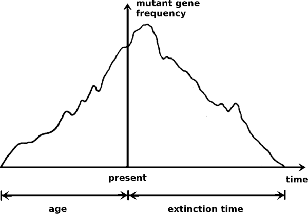 Symétrie entre «l'âge d'un allèle» et le «temps d'extinction»