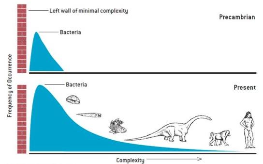 Evolution of complexity as understood by Gould.