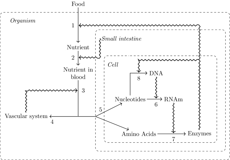 Closure of constraints: a biological illustration