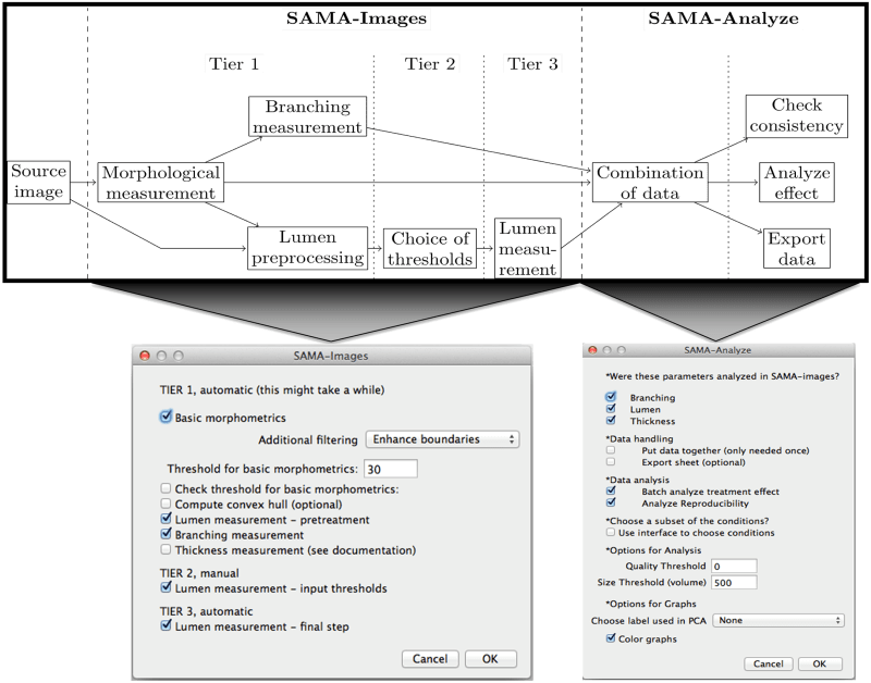 Flow-chart and user-interfaces of SAMA.