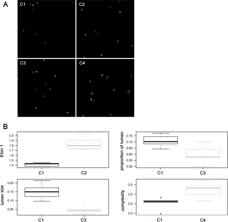 Computer generated images of
            four test conditions.