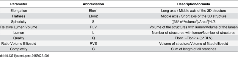 List of quantitative
                        parameters and their corresponding mathematical definitions