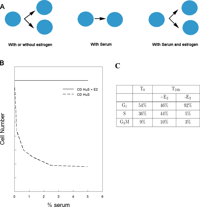 Experimental examples of the default state.