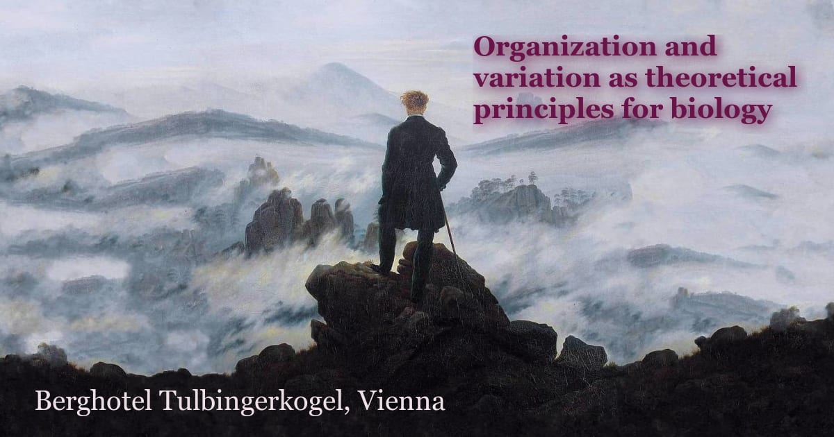 Organization and variation as theoretical principles for biology