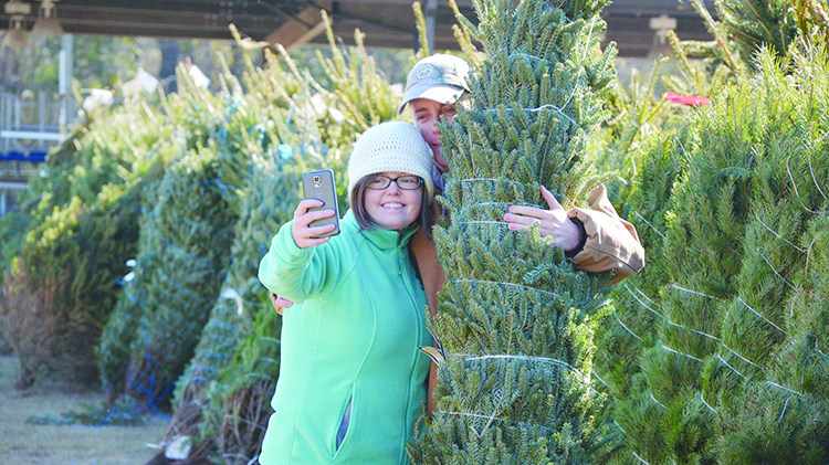 Trees for Troops