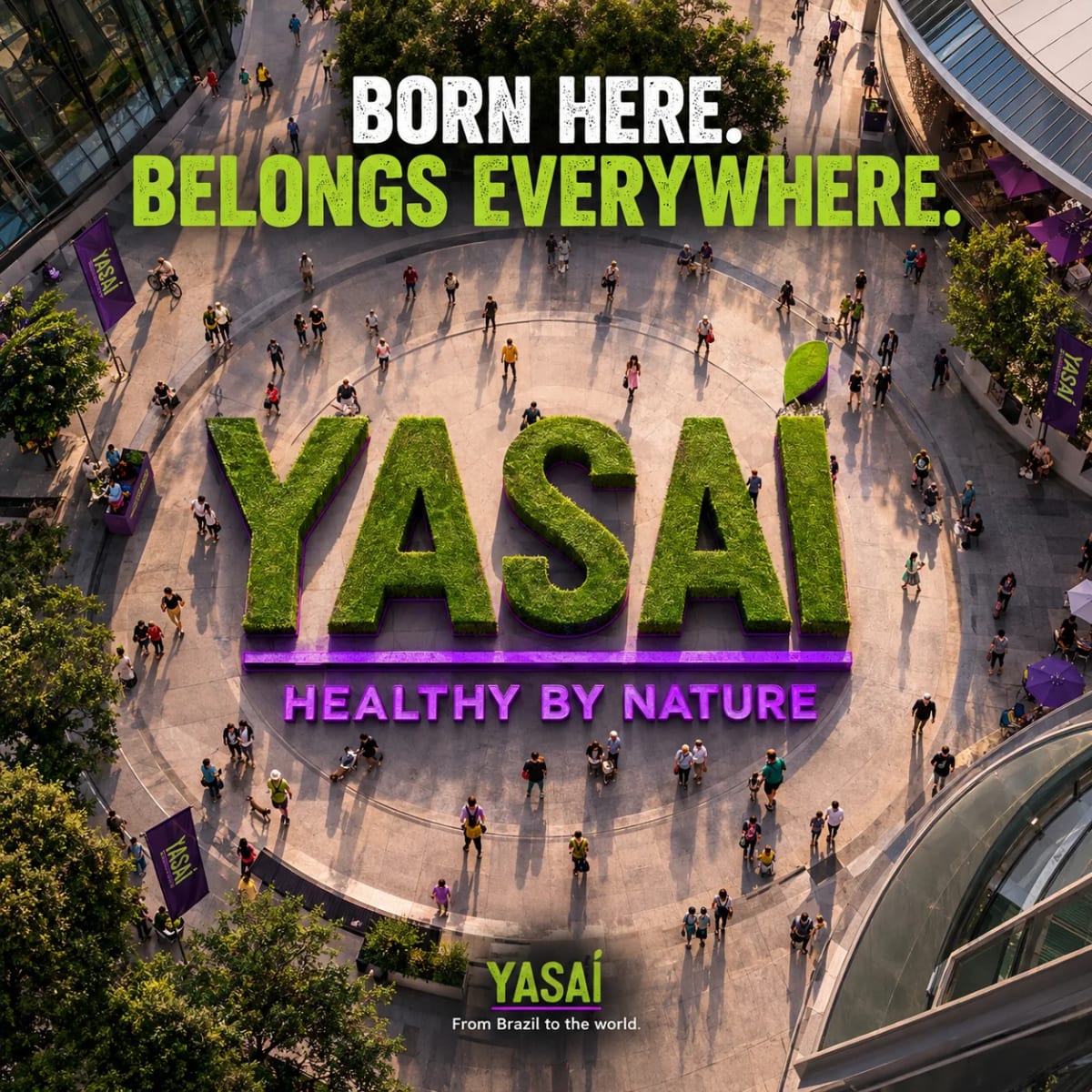 yasai born here belongs everywhere praca