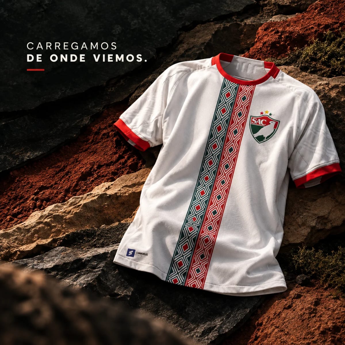 salgueiro carregamos de onde viemos