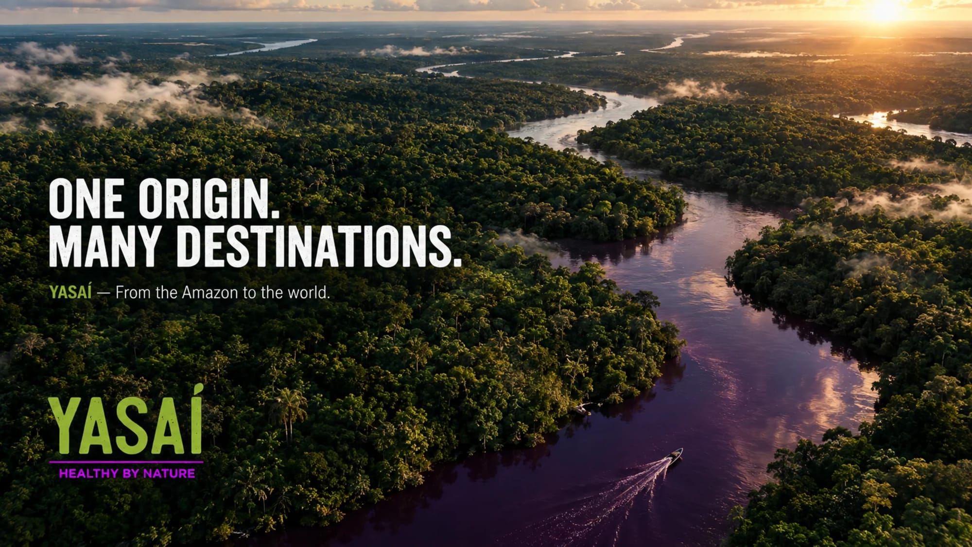 yasai one origin many destinations amazonia