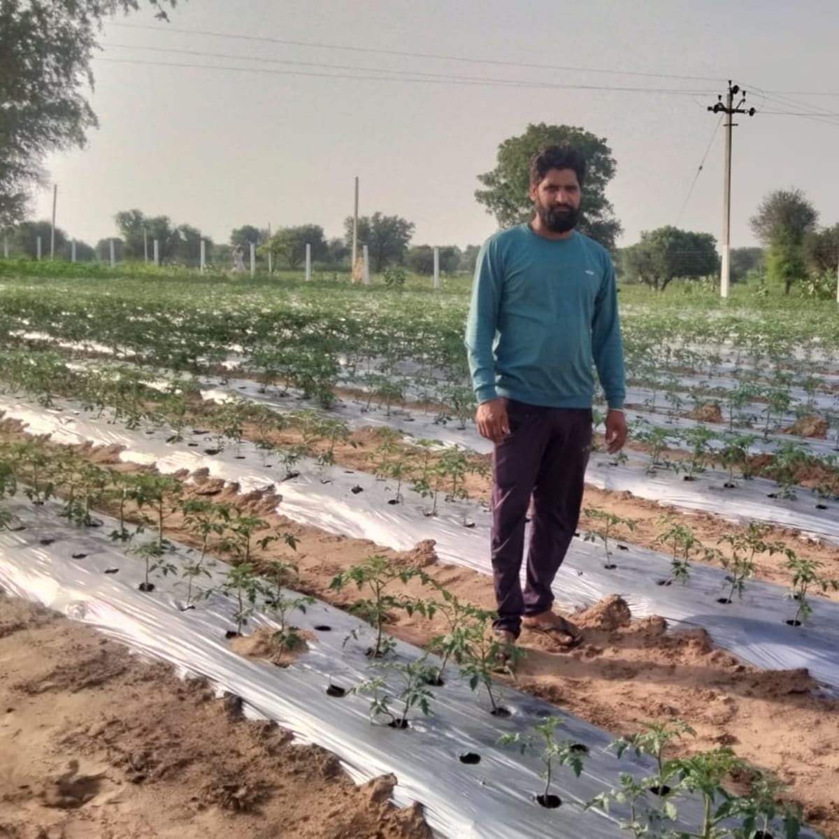 CMSD organic farm